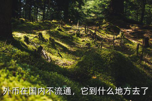 外幣在國內(nèi)不流通，它到什么地方去了