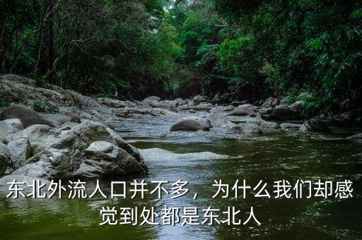 東北外流人口并不多，為什么我們卻感覺到處都是東北人