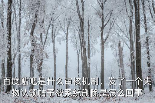百度貼吧是什么審核機(jī)制，發(fā)了一個(gè)失物認(rèn)領(lǐng)帖子被系統(tǒng)刪除是怎么回事