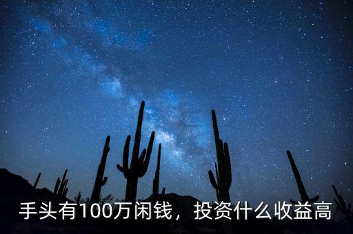 手頭有100萬閑錢，投資什么收益高