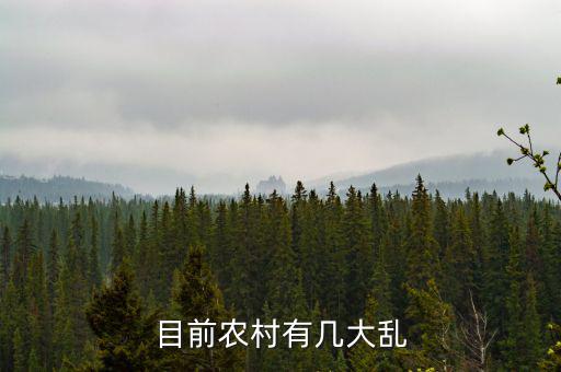 目前農村有幾大亂
