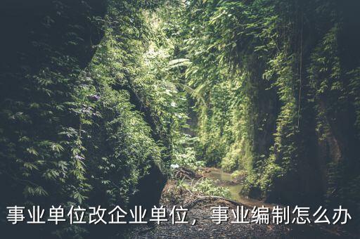 事業(yè)單位改企業(yè)單位，事業(yè)編制怎么辦