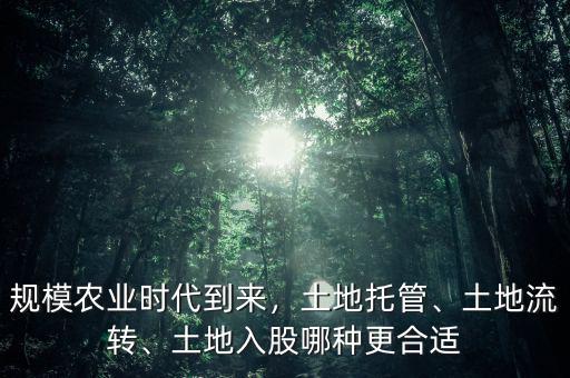 規(guī)模農業(yè)時代到來，土地托管、土地流轉、土地入股哪種更合適