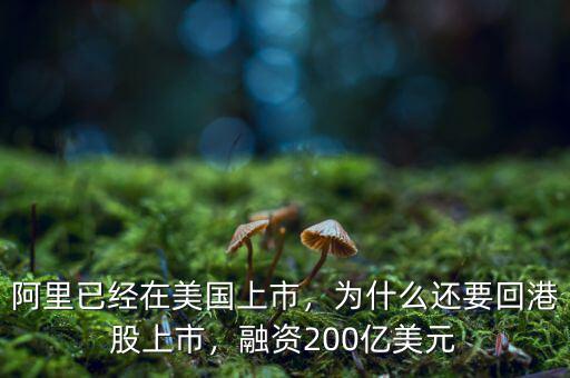 阿里已經(jīng)在美國上市，為什么還要回港股上市，融資200億美元