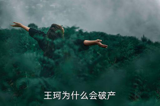 王珂為什么會破產