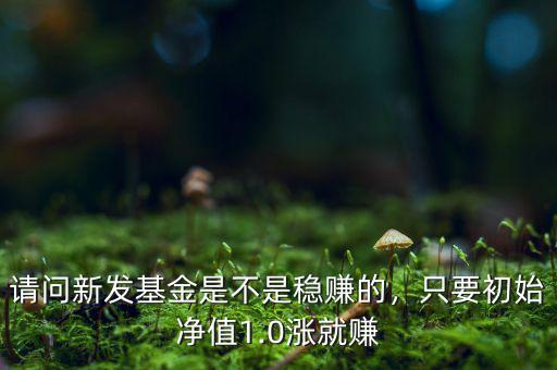 請問新發(fā)基金是不是穩(wěn)賺的，只要初始凈值1.0漲就賺