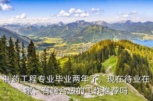制藥工程專業(yè)畢業(yè)兩年了，現(xiàn)在待業(yè)在家，有啥合適的工作推薦嗎