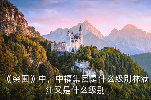 《突圍》中，中福集團(tuán)是什么級別林滿江又是什么級別