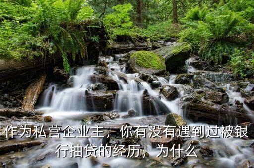 作為私營企業(yè)主，你有沒有遇到過被銀行抽貸的經(jīng)歷，為什么
