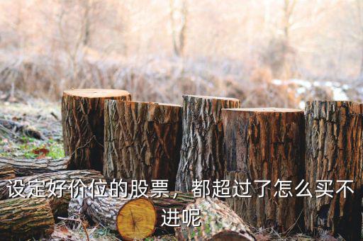 設(shè)定好價位的股票，都超過了怎么買不進(jìn)呢