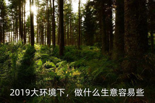 2019大環(huán)境下，做什么生意容易些