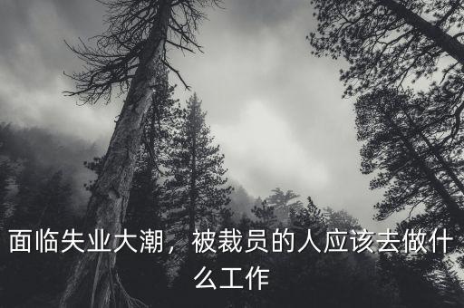 面臨失業(yè)大潮，被裁員的人應(yīng)該去做什么工作
