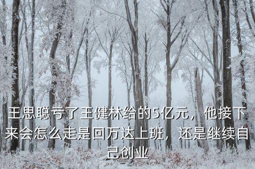 王思聰虧了王健林給的5億元，他接下來(lái)會(huì)怎么走是回萬(wàn)達(dá)上班，還是繼續(xù)自己創(chuàng)業(yè)