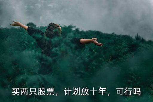 買兩只股票，計劃放十年，可行嗎