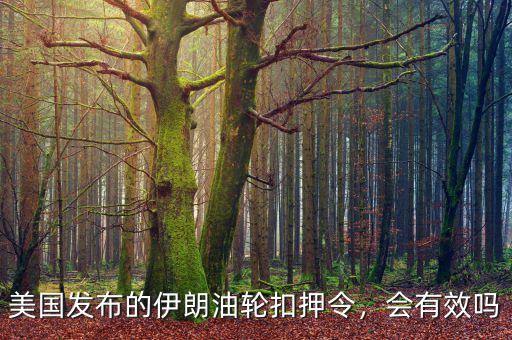 美國發(fā)布的伊朗油輪扣押令，會有效嗎