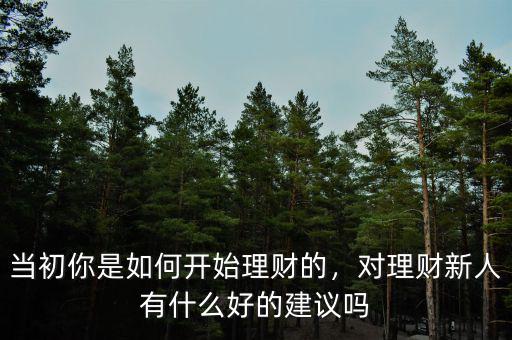 當初你是如何開始理財?shù)模瑢碡斝氯擞惺裁春玫慕ㄗh嗎