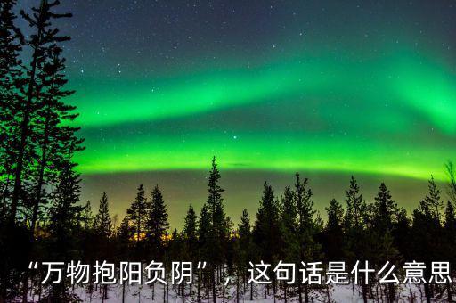 “萬物抱陽負(fù)陰”，這句話是什么意思