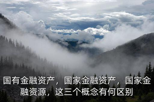 國有金融資產(chǎn)，國家金融資產(chǎn)，國家金融資源，這三個(gè)概念有何區(qū)別