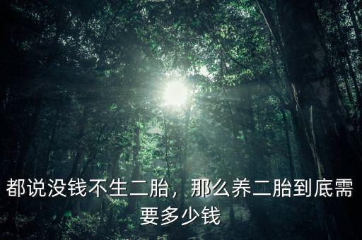 都說沒錢不生二胎，那么養(yǎng)二胎到底需要多少錢