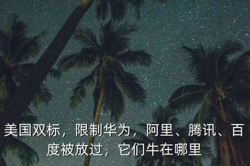 美國雙標(biāo)，限制華為，阿里、騰訊、百度被放過，它們牛在哪里