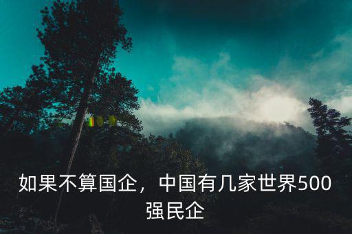 如果不算國企，中國有幾家世界500強(qiáng)民企