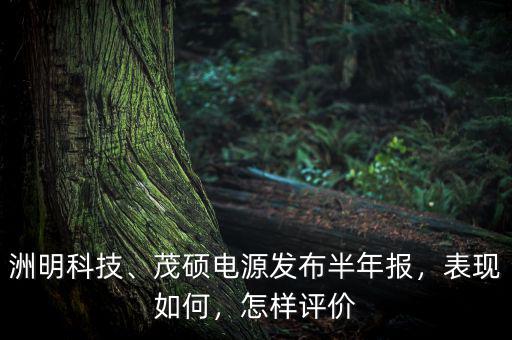 洲明科技、茂碩電源發(fā)布半年報，表現(xiàn)如何，怎樣評價