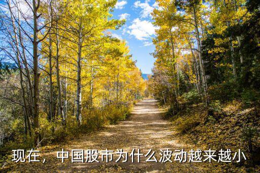 現(xiàn)在，中國股市為什么波動越來越小