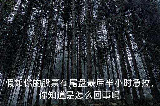 假如你的股票在尾盤最后半小時急拉，你知道是怎么回事嗎