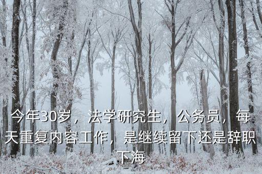 今年30歲，法學(xué)研究生，公務(wù)員，每天重復(fù)內(nèi)容工作，是繼續(xù)留下還是辭職下海