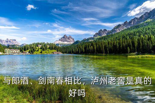 與郎酒、劍南春相比，瀘州老窖是真的好嗎