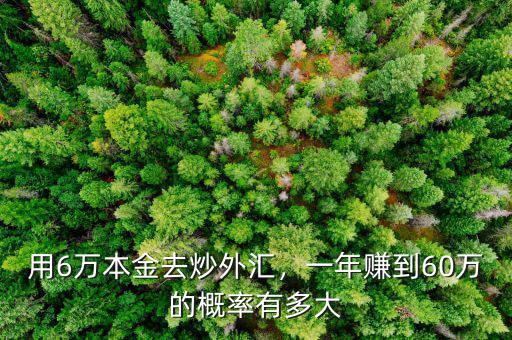 用6萬(wàn)本金去炒外匯，一年賺到60萬(wàn)的概率有多大