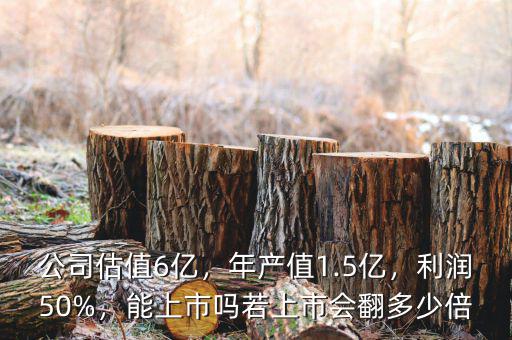 公司估值6億，年產(chǎn)值1.5億，利潤(rùn)50%，能上市嗎若上市會(huì)翻多少倍