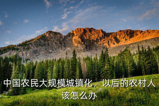 中國(guó)農(nóng)民大規(guī)模城鎮(zhèn)化，以后的農(nóng)村人該怎么辦