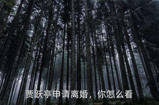 賈躍亭申請(qǐng)離婚，你怎么看