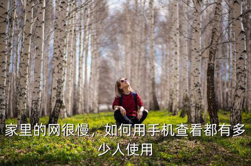 家里的網(wǎng)很慢，如何用手機(jī)查看都有多少人使用
