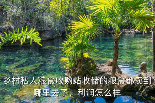 鄉(xiāng)村私人糧食收購站收儲(chǔ)的糧食都賣到哪里去了，利潤(rùn)怎么樣