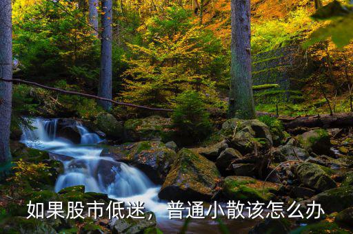 如果股市低迷，普通小散該怎么辦