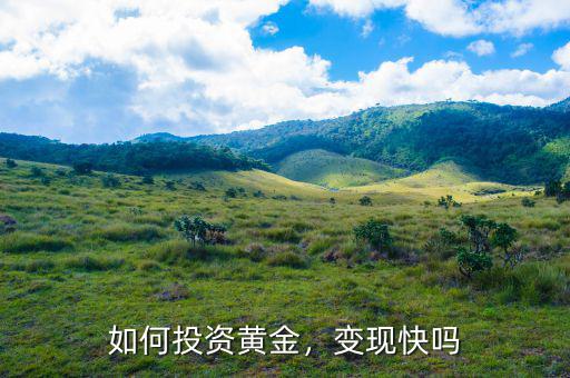 如何投資黃金，變現(xiàn)快嗎