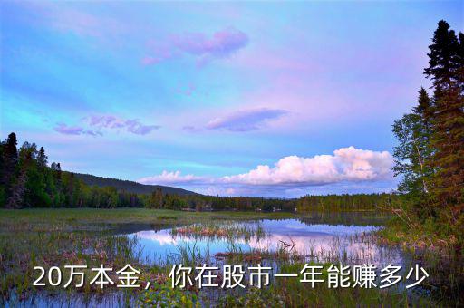 20萬(wàn)本金，你在股市一年能賺多少