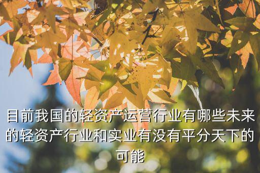 目前我國的輕資產(chǎn)運(yùn)營行業(yè)有哪些未來的輕資產(chǎn)行業(yè)和實業(yè)有沒有平分天下的可能