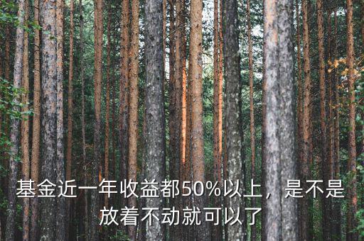 基金近一年收益都50%以上，是不是放著不動就可以了