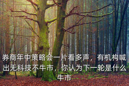 券商年中策略會(huì)一片看多聲，有機(jī)構(gòu)喊出無科技不牛市，你認(rèn)為下一輪是什么牛市