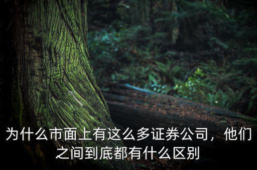 為什么市面上有這么多證券公司，他們之間到底都有什么區(qū)別