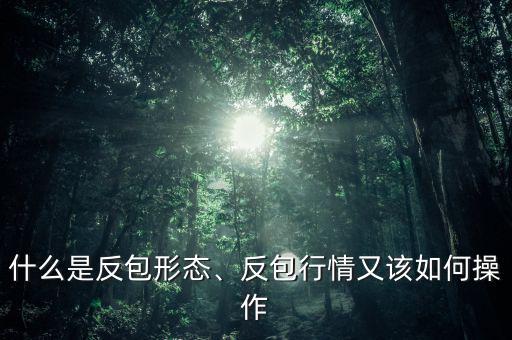 什么是反包形態(tài)、反包行情又該如何操作