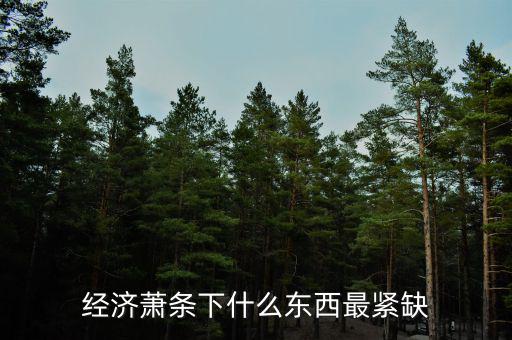 經(jīng)濟(jì)蕭條什么值錢(qián),經(jīng)濟(jì)蕭條下什么東西最緊缺