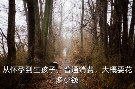 從懷孕到生孩子，普通消費，大概要花多少錢