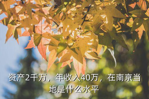 資產(chǎn)2千萬，年收入40萬，在南京當(dāng)?shù)厥鞘裁此? class=