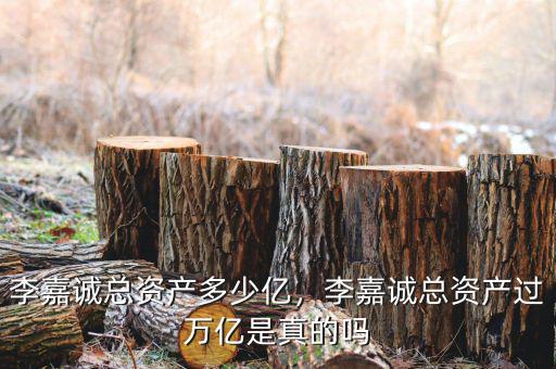 李嘉誠總資產(chǎn)多少億，李嘉誠總資產(chǎn)過萬億是真的嗎
