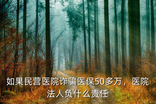 如果民營醫(yī)院詐騙醫(yī)保50多萬，醫(yī)院法人負(fù)什么責(zé)任