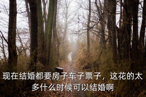 現(xiàn)在結(jié)婚都要房子車子票子，這花的太多什么時(shí)候可以結(jié)婚啊